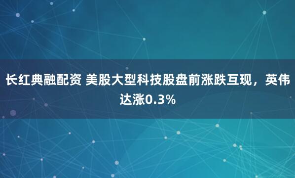 长红典融配资 美股大型科技股盘前涨跌互现，英伟达涨0.3%